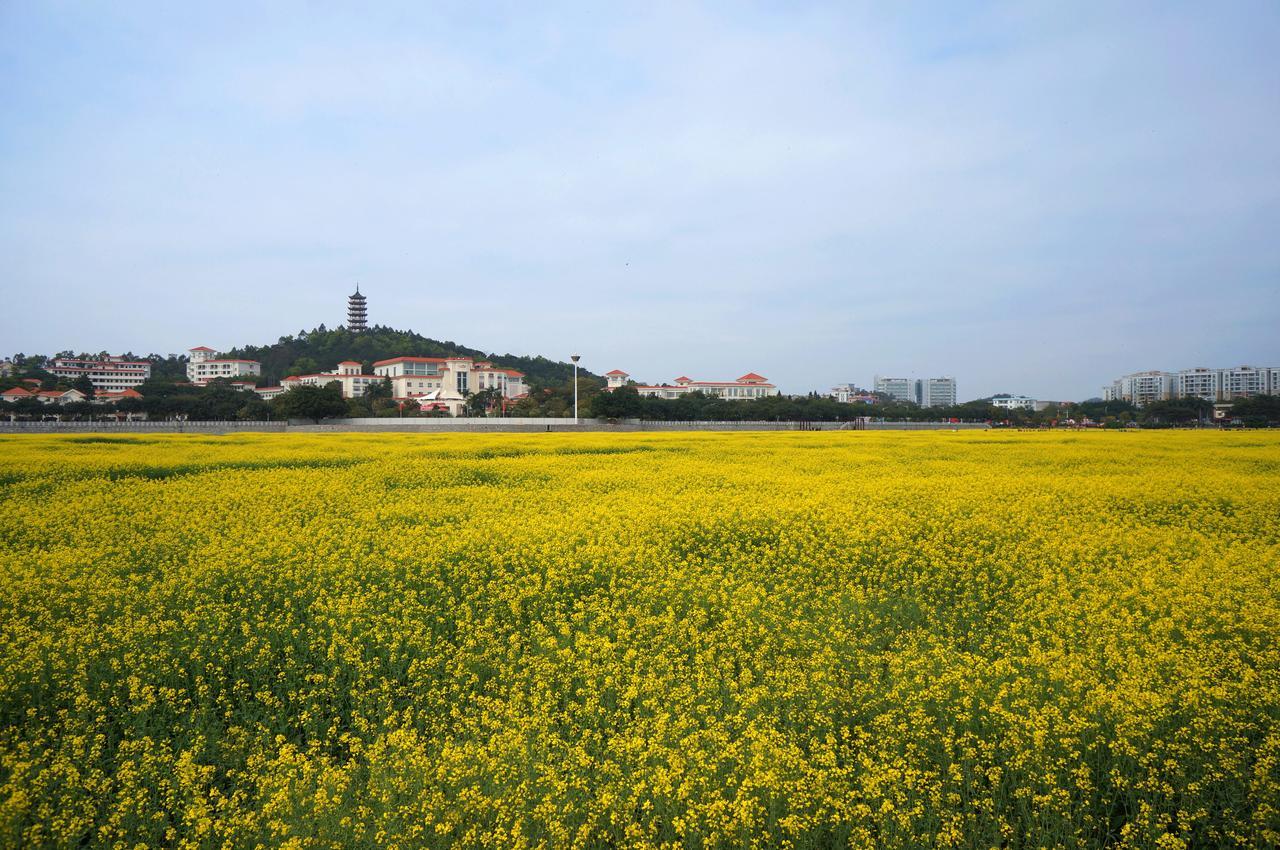 Dongguan Goodview Hotel Sangem Qiaotou Exteriör bild