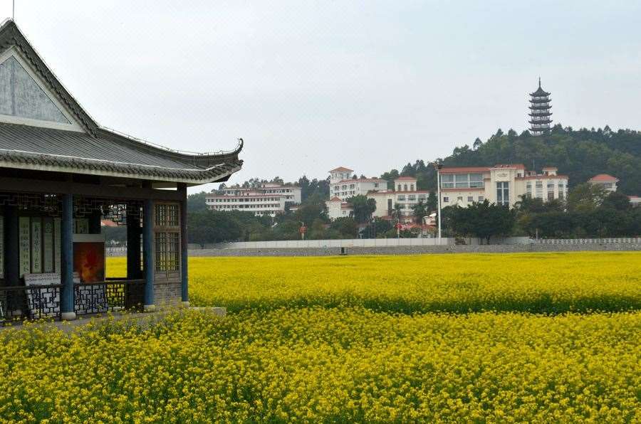Dongguan Goodview Hotel Sangem Qiaotou Bekvämligheter bild